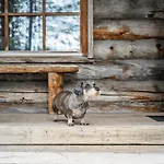 Rukankelo Alpstuga Ruka