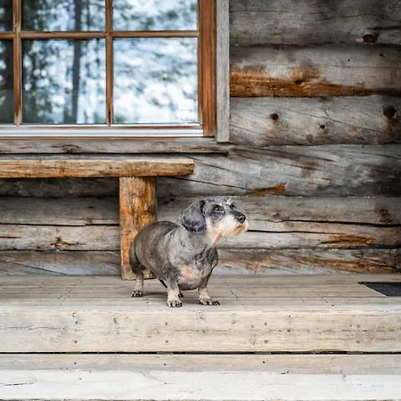 Rukankelo Alpesi faház Ruka