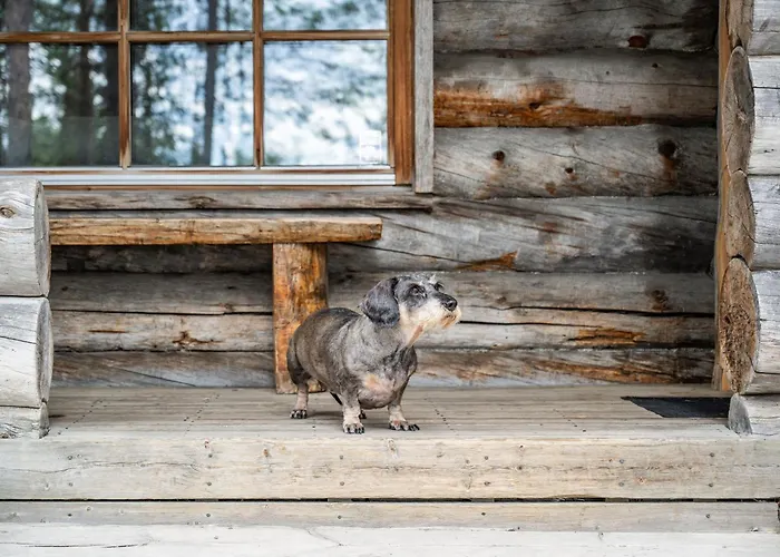 Rukankelo Chalé Ruka